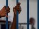 Kolda : Un charbonnier condamné à deux ans de prison pour détention illégale d’arme