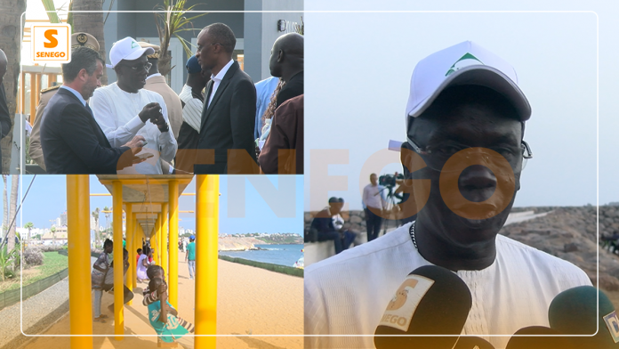 Aménagement de la Corniche Ouest de Dakar : « 2000 palmiers, 700 000 arbustes et du gazon prévus » (DG AGETIP) (Senego tv)