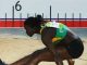 Championnats d’Afrique d’athlétisme : Première médaille d’Or pour le Sénégal au Triple saut