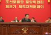 Corée du Nord : La défense de la souveraineté nationale mise en pratique