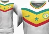 Nouveau maillot des lions : « Un pied de nez de Puma à l’esthétique sénégalaise »