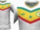 Nouveau maillot des lions : « Un pied de nez de Puma à l’esthétique sénégalaise »