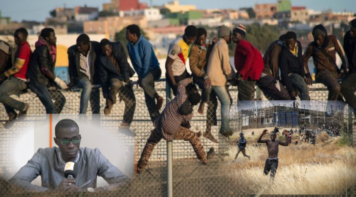 Entretien – Drame de Melilla et Kafoutine : Comment les attaques sont menées sur les migrants ? (Senego-TV)