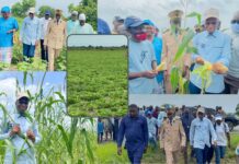 Agriculture : Moussa Baldé démarre sa tournée agricole 2022 par le Sénégal oriental