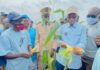 Anida : 1000 nouvelles fermes en 2023 dont 11 à Kaffrine