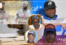 Choc inédit : Ama Baldé vs Gris-Bordeaux ficelé (Senego TV)
