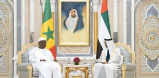 « Émirats arabes unis, un partenaire économique stratégique pour l’Afrique »