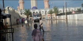 Inondations et Magal à Touba : Les assurances de Antoine Félix Diome