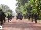 Opération Nord Bignona 2022 : L’armée se félicite du succès de l’offensive contre les rebelles (vidéo)