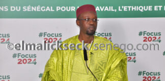 Sonko: « Si le problème n’est pas résolu d’ici 2024, élu président, je dépêcherai des troupes au Mali »