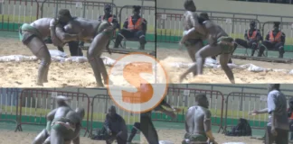 Lamb: Calma Ndour bat Thiatou Walo d’une chute spectaculaire (Senego TV)