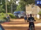 Popeguine-NemekouTour de Sonko: Plus de 10 Minibus et 3 pickup de la gendarmerie Débarquent -vidéo