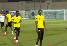 Mondial 2022: Revivez la séance d’entrainement du groupe 2 des Lions du Sénégal (Vidéo)