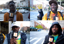 Elimination des Lions : La déception des Sénégalais vivant à New York (Senego Tv)