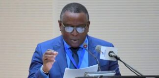 Afrique – Cheikh Tidiane Gadio : « En 60 ans d’indépendance, il y a zéro pays émergent… »