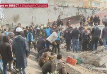 500 morts à Turquie et Syrie : Les images du puissant tremblement de terre…