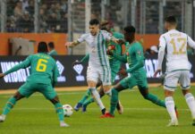 CHAN 2022 : Cinq joueurs sénégalais dans le onze type de la compétition