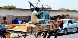 Interdiction de la circulation des charrettes à Dakar : L’importante décision prise par arrêté interministériel