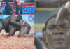 Bécaye Mbaye : « Sincèrement Reug-Reug a été battu, danouna… »-vidéo