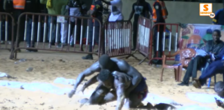 Lutte : Feu Rouge vs Bulldozer, 2 lutteurs combattants (Senego TV)