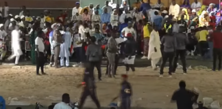 Lutte – Kaolack : Bébé Saloum terrasse Baye Mandione en moins d’une minute (vidéo)