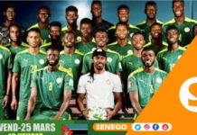 Sénégal vs Mozambique : L’APR a-t-elle vraiment acheté des tickets pour ses militants ? (Photos)