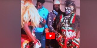 (Vidéo) : Déguisés en faux lions, Djiby Sèye et Mame Balla Mbow amusent la toile