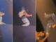 Vidéo : Sévère chute de Tayc lors d’un concert