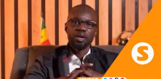 Ahmadou Bella Diallo : « Ces dossiers judiciaires qui plombent la candidature de Sonko… »