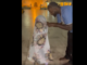 Vidéo – No Face et sa fille à la grande mosquée de Touba :  » Yalla Nalla Yalla Sameu »