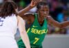 Basket : La Lionne Fatou Dieng prend sa retraite