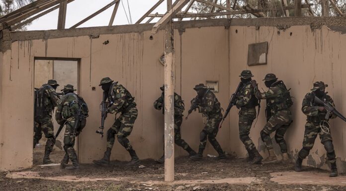 Intervention armée au Niger : la décision du Sénégal